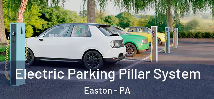 Electric Parking Pillar System Easton - PA