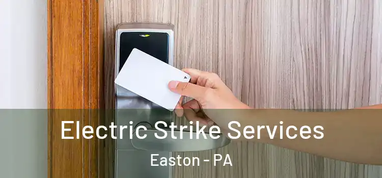  Electric Strike Services Easton - PA