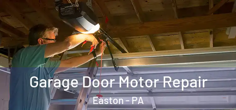  Garage Door Motor Repair Easton - PA