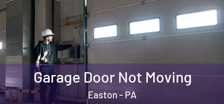  Garage Door Not Moving Easton - PA