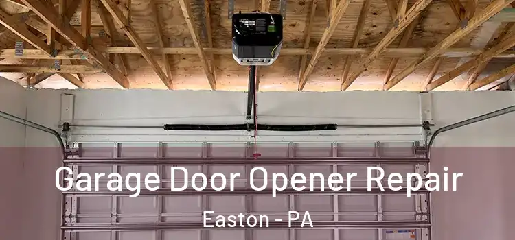  Garage Door Opener Repair Easton - PA
