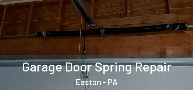  Garage Door Spring Repair Easton - PA