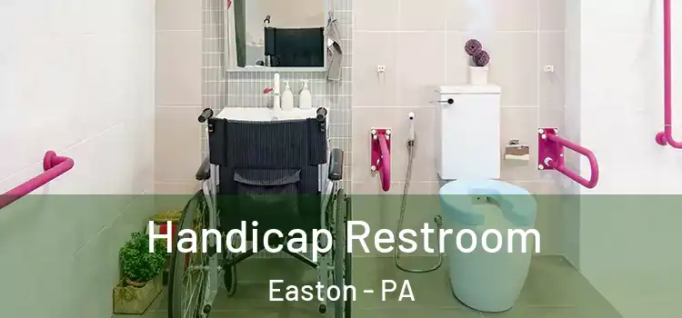  Handicap Restroom Easton - PA