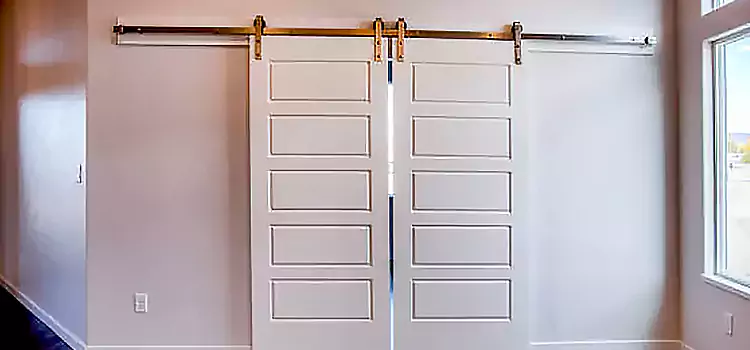 Glass Barn Door with Installation Hardware Kit Easton