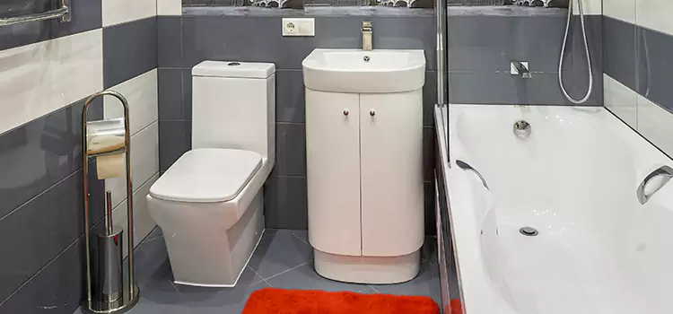 Hansgrohe Shaving Mirror Easton