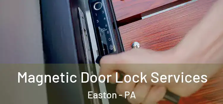 Magnetic Door Lock Services Easton - PA
