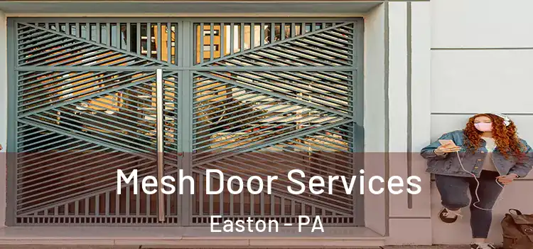  Mesh Door Services Easton - PA