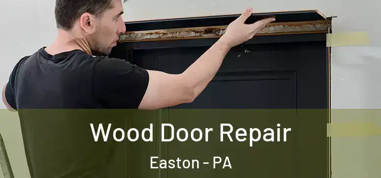  Wood Door Repair Easton - PA